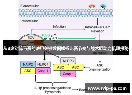 从B席对阵马赛的法甲关键数据解析比赛节奏与战术驱动力机理探秘 从B席对阵马赛的法甲关键数据解析比赛节奏与战术驱动力机理探秘