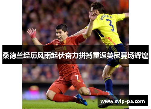 桑德兰经历风雨起伏奋力拼搏重返英冠赛场辉煌