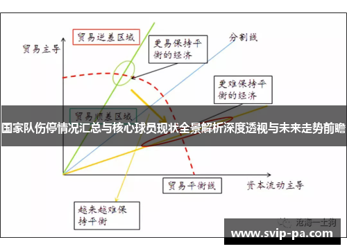 国家队伤停情况汇总与核心球员现状全景解析深度透视与未来走势前瞻
