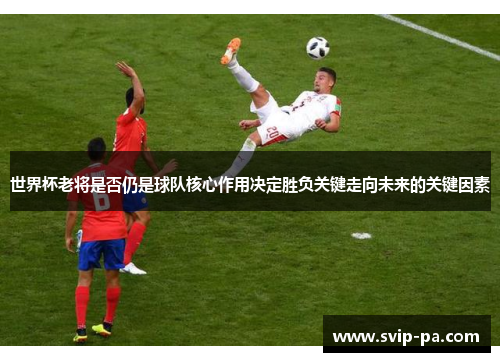 世界杯老将是否仍是球队核心作用决定胜负关键走向未来的关键因素